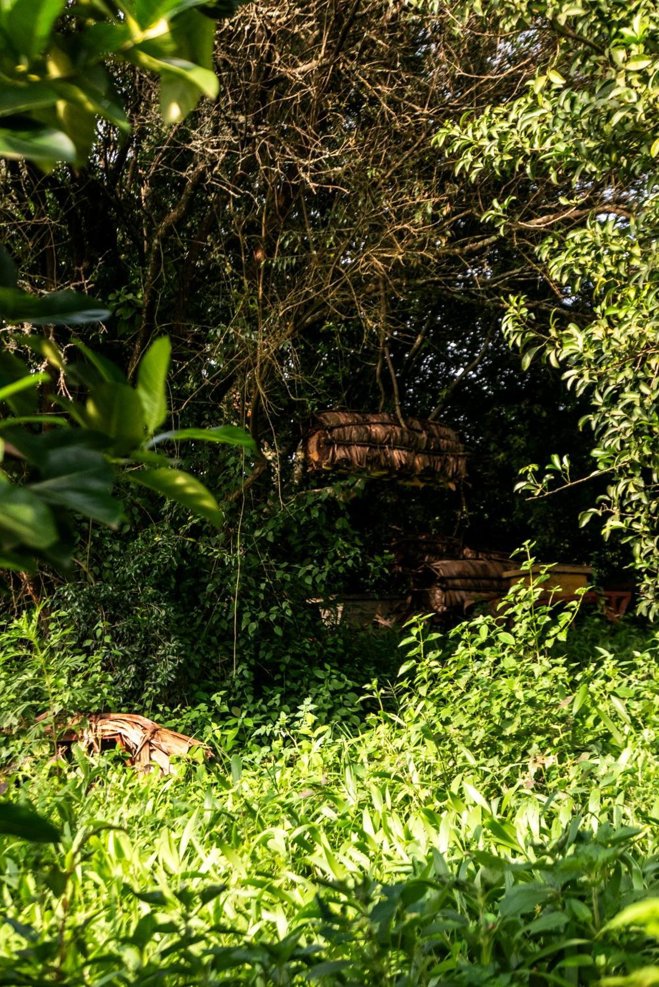 Akagera Transit Lodge Bagian luar foto